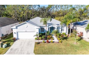 9829 ROLLING CIRCLE, SAN ANTONIO, FL 33576 Sold 03/07/25