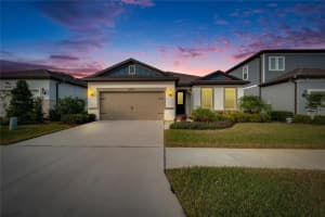 12940 BROOKSIDE MOSS DRIVE, RIVERVIEW, FL 33579 Sold 08/06/25