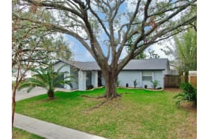 6207 FROST DRIVE, TAMPA, FL 33625 Sold 03/10/25