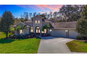 2664 KEYSTONE SPRINGS ROAD, TARPON SPRINGS, FL 34689 Sold 03/28/25