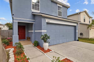17347 MINT LEAF LANE, LAND O LAKES, FL 34638 Sold 03/19/25