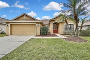 19820 MORDEN BLUSH DRIVE, LUTZ, FL 33558 Sold 05/24/25