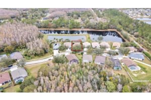 19820 MORDEN BLUSH DRIVE, LUTZ, FL 33558 Sold 05/24/25