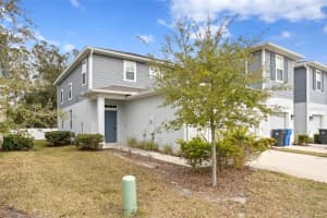 2146 LACEFLOWER DRIVE, BRANDON, FL 33510 Sold 07/03/25