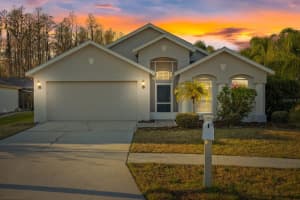 1525 BAYTHORN DRIVE, WESLEY CHAPEL, FL 33543 Sold 04/04/25
