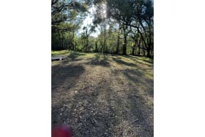 10141 CONNERLY ROAD, DADE CITY, FL 33525 Sold 11/06/25