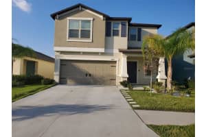 10251 Carloway Hills Dr, WIMAUMA