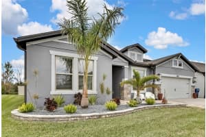 31627 COLADA DRIFT WAY, WESLEY CHAPEL, FL 33545 Sold 04/04/25