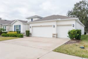 2505 KNIGHT ISLAND DRIVE, BRANDON, FL 33511 Sold 02/28/25