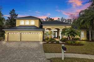 7153 WOODS BAY COURT, LAND O LAKES, FL 34637 Sold 03/21/25