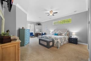 7153 WOODS BAY COURT, LAND O LAKES, FL 34637 Sold 03/21/25