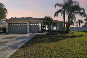23201 EAGLES WATCH DRIVE, LAND O LAKES, FL 34639 Sold 03/14/25