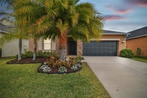 11804 VALHALLA WOODS DRIVE, RIVERVIEW, FL 33579 Sold 03/21/25