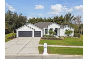 6209 NIMES COURT, LUTZ, FL 33558 Sold 03/14/25