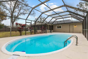 7231 WOODBROOK DRIVE, TAMPA, FL 33625 Sold 04/16/25