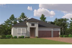 31537 CARDINAL YARD DRIVE, SAN ANTONIO, FL 33576 Sold 05/29/25