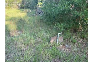 7106 SKY DRIVE, WESLEY CHAPEL, FL 33545 - MLS#MFRTB8339784