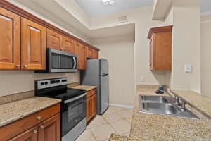 17108 CARRINGTON PARK DRIVE, TAMPA, FL 33647 Sold 06/18/25