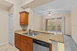 17108 CARRINGTON PARK DRIVE, TAMPA, FL 33647 Sold 06/18/25