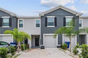 34395 Soreel Mint Dr, WESLEY CHAPEL