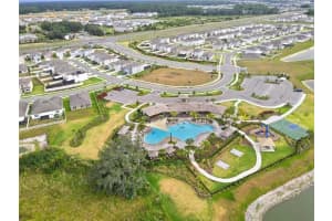 34395 SOREEL MINT DRIVE, WESLEY CHAPEL, FL 33543 - MLS#MFRTB8339868