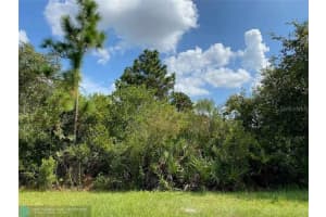 MANATEE WAY, KISSIMMEE, FL 34759 - MLS#MFRTB8339918