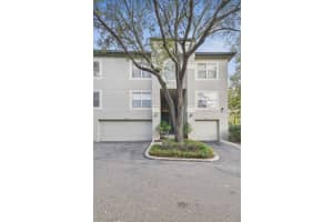 603 TROPICAL BREEZE WAY, TAMPA, FL 33602 Sold 03/26/25