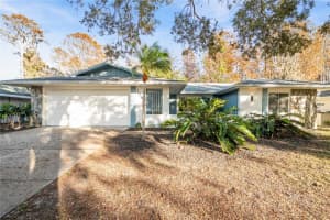1291 GOLDEN OAK DRIVE, TARPON SPRINGS, FL 34689 Sold 04/25/25