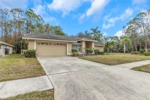 599 Centerwood Dr, TARPON SPRINGS