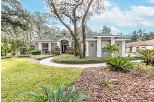 6017 HAMMOCK HILL AVENUE, LITHIA, FL 33547 Sold 03/14/25