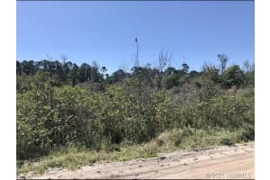 4150 QUAIL NEST LANE, NEW SMYRNA BEACH, FL 32168 Sold 03/31/25
