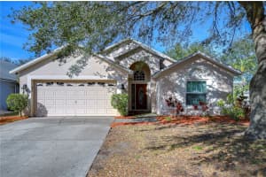 7136 Colony Pointe Dr, RIVERVIEW