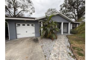 8307 BOXWOOD DRIVE, TAMPA, FL 33615 Sold 03/04/25