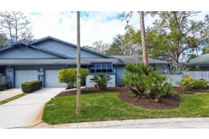 90 MORNING DOVE PLACE, OLDSMAR, FL 34677 Sold 02/28/25