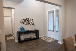 19427 REDWOOD POINT DRIVE, TAMPA, FL 33647 Sold 03/10/25