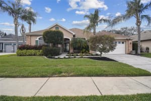 1551 DAYLILY DRIVE, TRINITY, FL 34655 Sold 03/19/25