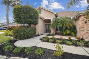 1551 DAYLILY DRIVE, TRINITY, FL 34655 Sold 03/19/25