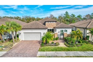 20105 UMBRIA HILL DRIVE, TAMPA, FL 33647 Sold 03/25/25