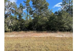 Lot 44 102ND STREET ROAD, DUNNELLON, FL 34431 Sold 02/03/25