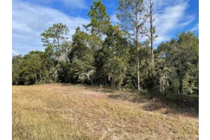 Lot 44 102ND STREET ROAD, DUNNELLON, FL 34431 Sold 02/03/25