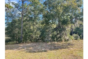 Lot 44 102ND STREET ROAD, DUNNELLON, FL 34431 Sold 02/03/25