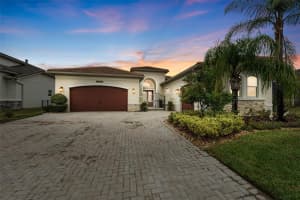 30715 Tumbleberry St, WESLEY CHAPEL