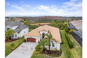 30715 TUMBLEBERRY STREET, WESLEY CHAPEL, FL 33543 - MLS#MFRTB8340685
