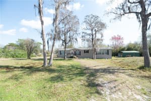 1236 LIVE OAK LANE, LUTZ, FL 33558 Sold 03/24/25