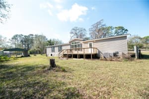 1236 LIVE OAK LANE, LUTZ, FL 33558 Sold 03/24/25