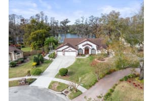 5649 GLENCREST BOULEVARD, TAMPA, FL 33625 Sold 02/14/25