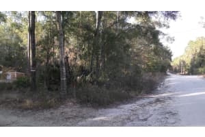 51 829TH STREET, OLD TOWN, FL 32680 Sold 05/05/25