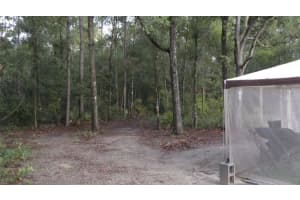 51 829TH STREET, OLD TOWN, FL 32680 Sold 05/05/25