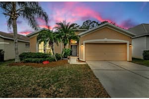 19144 MEADOW PINE DRIVE, TAMPA, FL 33647 Sold 02/28/25
