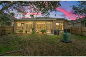 19144 MEADOW PINE DRIVE, TAMPA, FL 33647 Sold 02/28/25